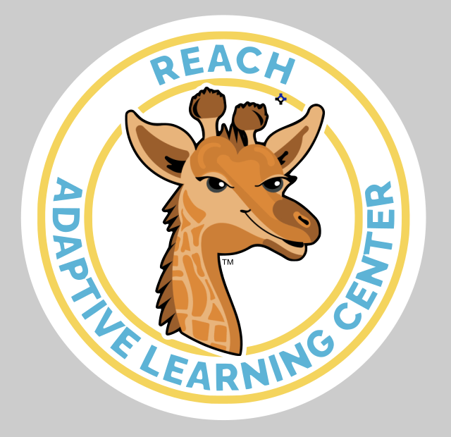 REACH Logo Decal