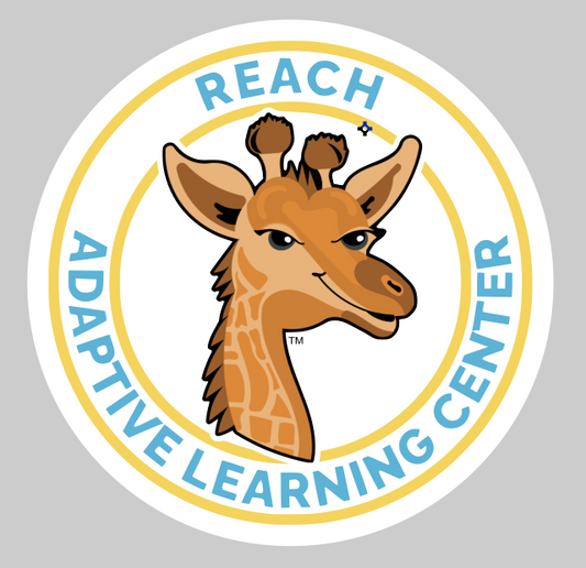 REACH Logo Decal